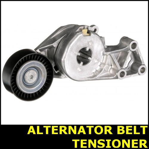 Ribbed belt tensioner - ribbed,