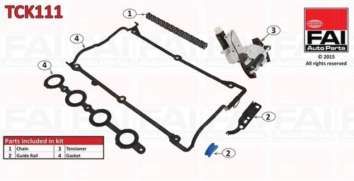Timing chain kit for - timing, 100