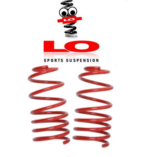Lowering springs for skoda - lo,